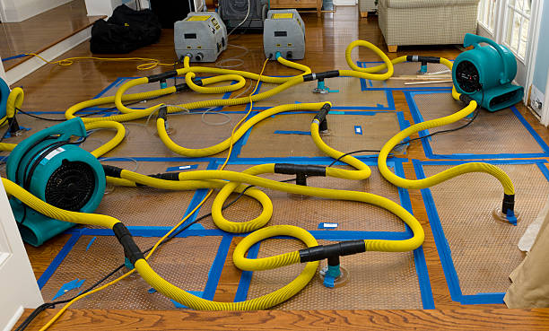 Professional Crawl Space Water Removal technician working in Pittsburg, NH